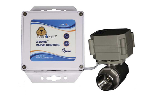 Leak Gopher Leak Detection