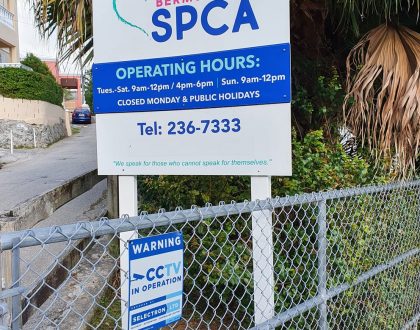 Bermuda-SPCA-Upgrade-CCTV-Camera-System-at-Valley-Road,-Paget-Facility-1