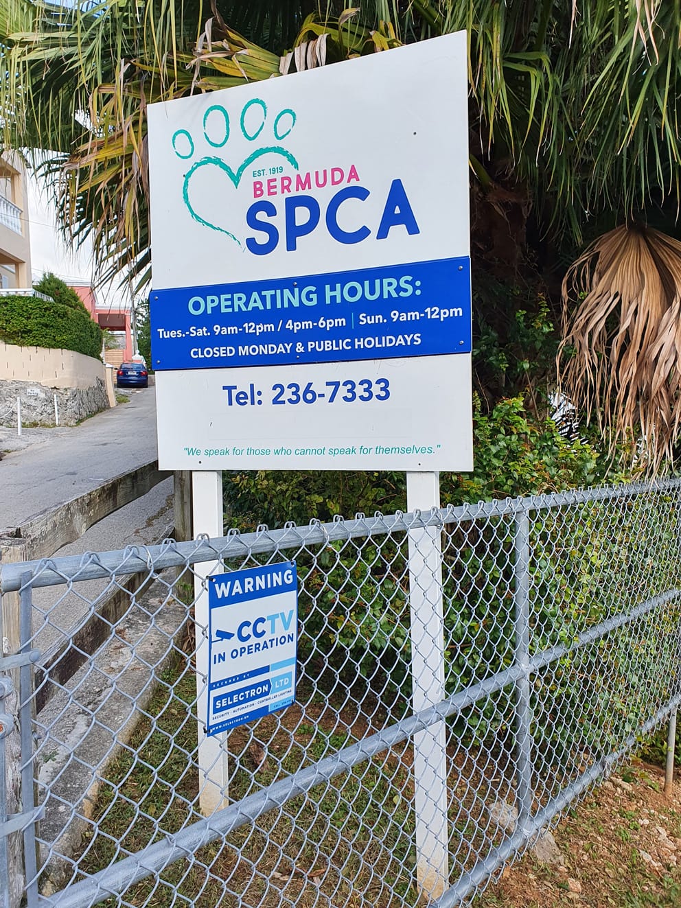 Bermuda-SPCA-Upgrade-CCTV-Camera-System-at-Valley-Road,-Paget-Facility-1