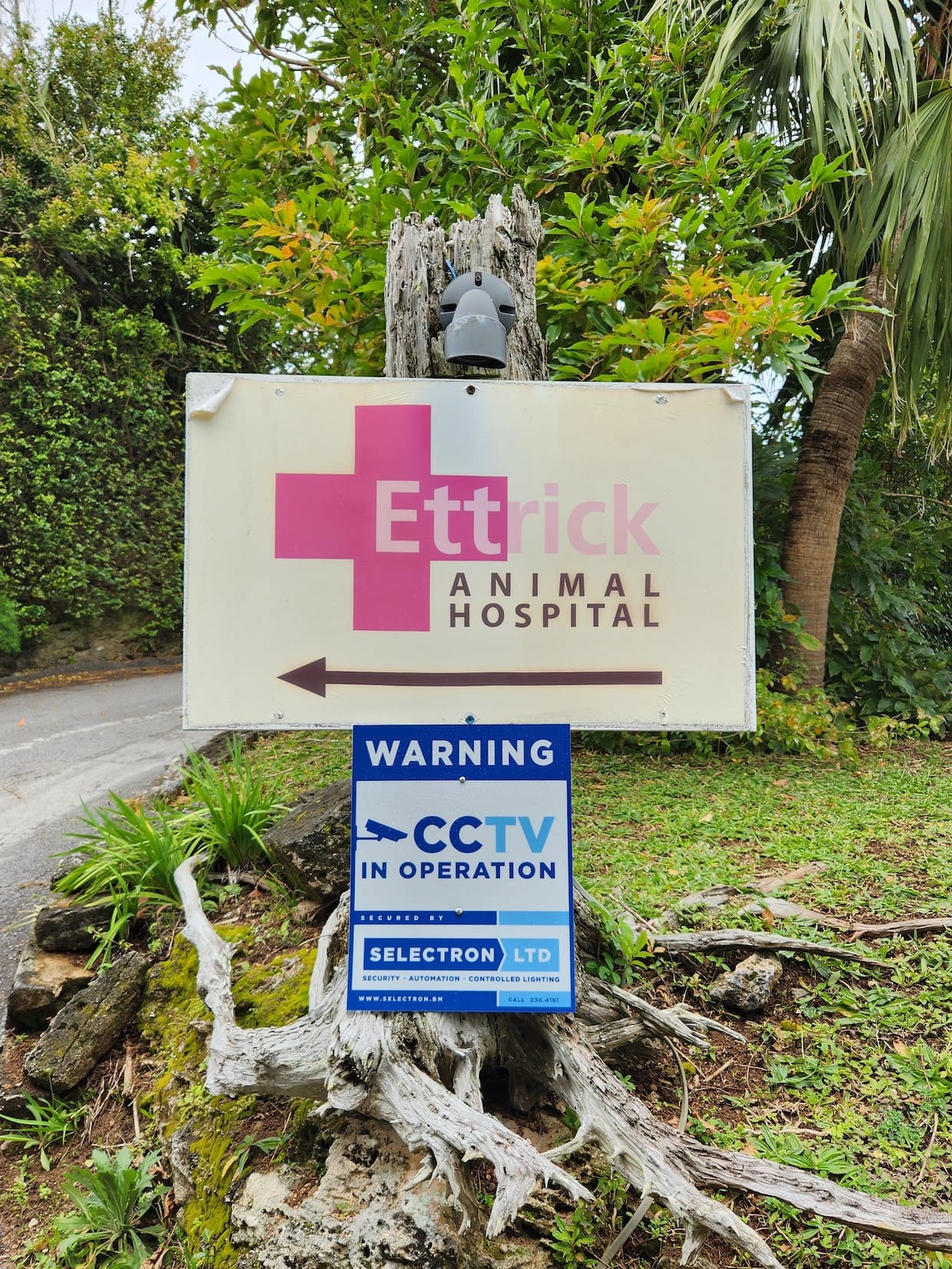 Ettrick Animal Hospital in Warwick Upgrade CCTV Camera System with Selectron