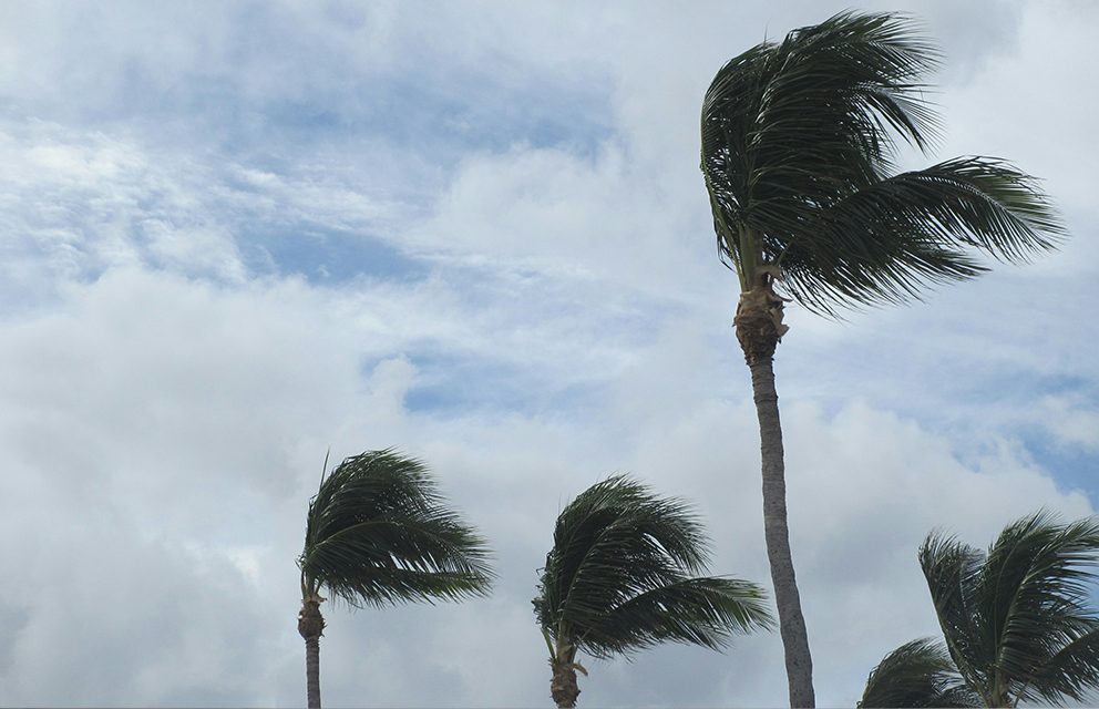 The Impact of Hurricanes on Security Systems in Bermuda
