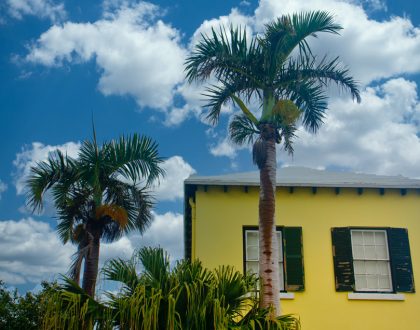 How Salt Air and Humidity Affect Security Equipment in Bermuda