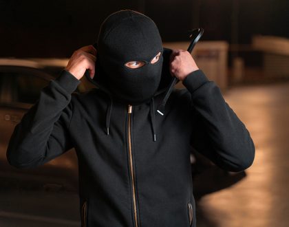 The Psychology of Burglars: What Makes a Property a Target?