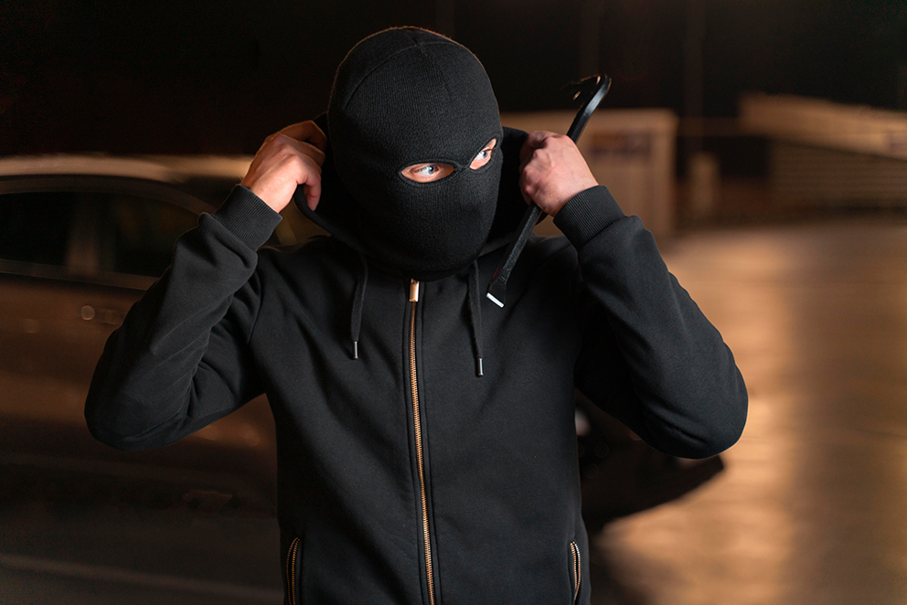 The Psychology of Burglars: What Makes a Property a Target?